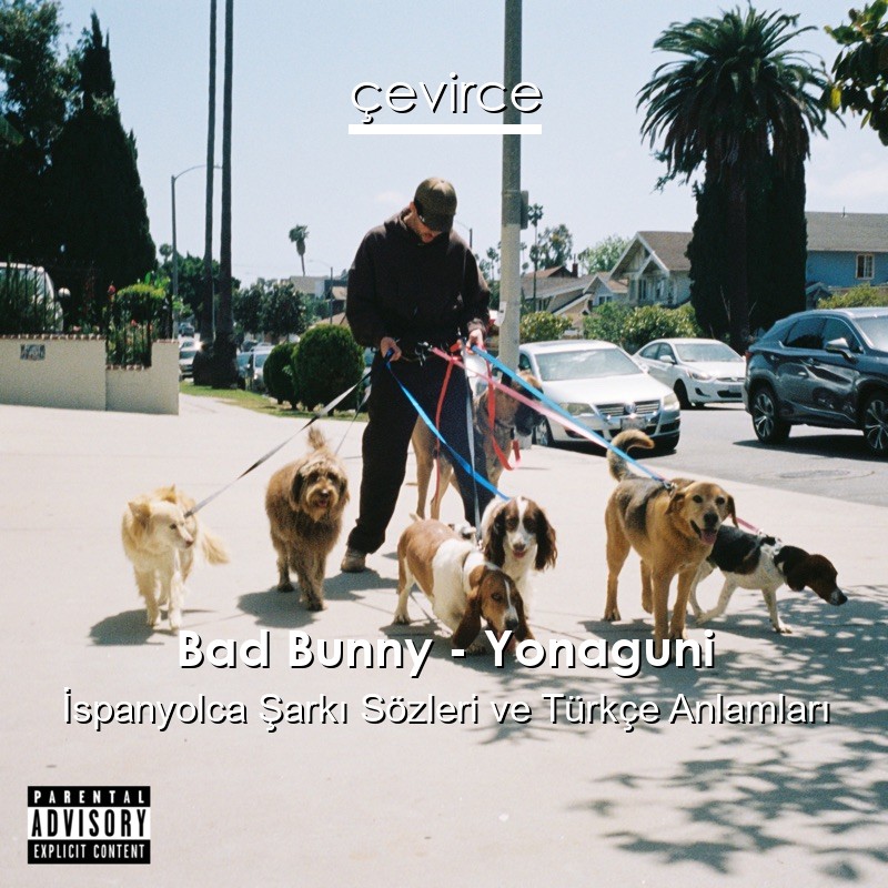 Bad Bunny – Yonaguni İspanyolca Şarkı Sözleri Türkçe Anlamları