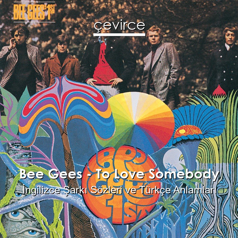 Bee Gees – To Love Somebody İngilizce Şarkı Sözleri Türkçe Anlamları