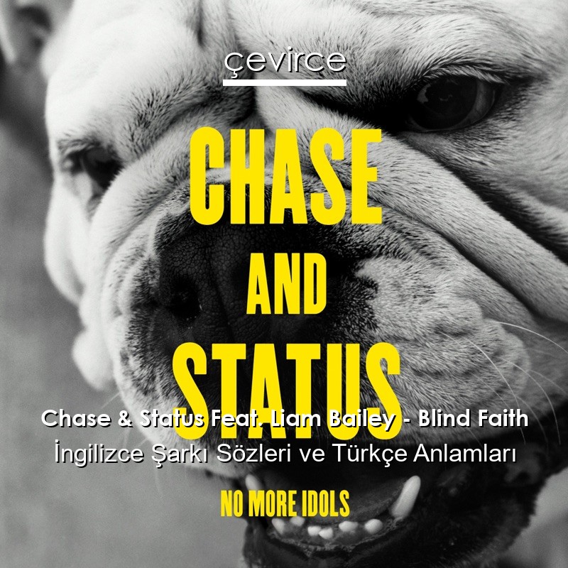 Chase & Status Feat. Liam Bailey – Blind Faith İngilizce Şarkı Sözleri Türkçe Anlamları