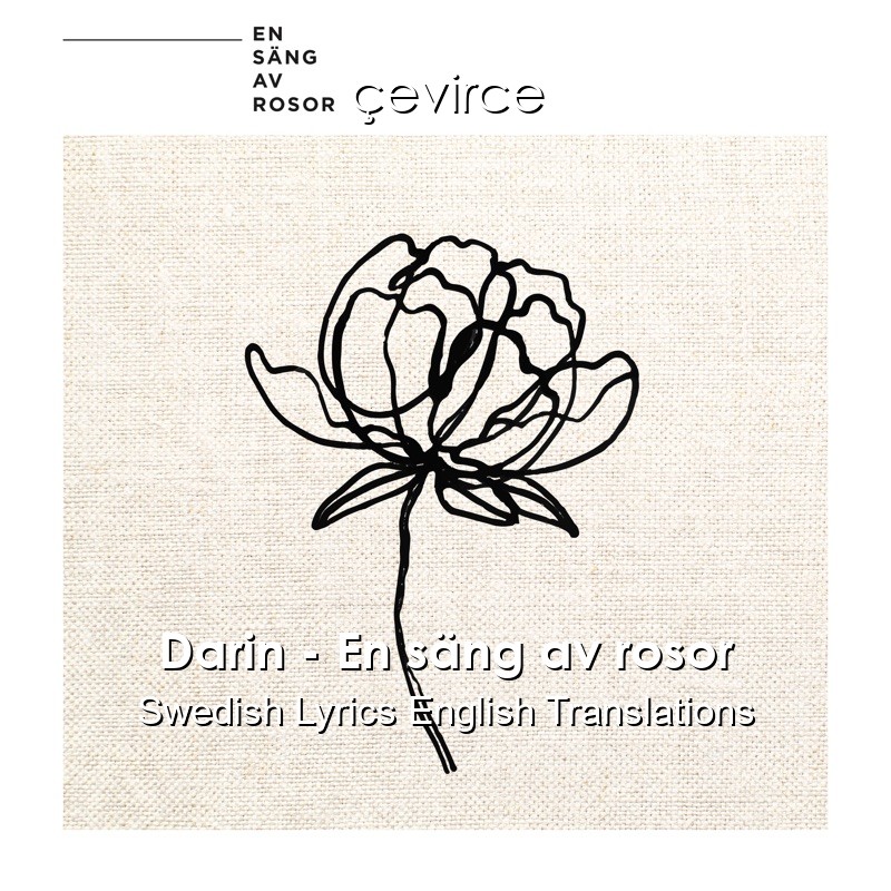 Darin – En säng av rosor Swedish Lyrics English Translations