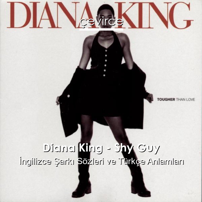 Diana King – Shy Guy İngilizce Şarkı Sözleri Türkçe Anlamları