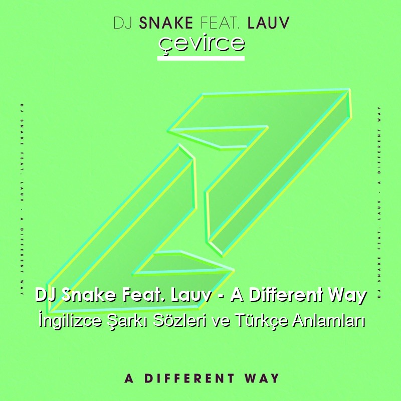DJ Snake Feat. Lauv – A Different Way İngilizce Şarkı Sözleri Türkçe Anlamları