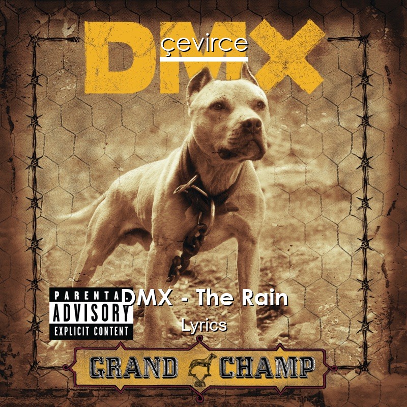 DMX – The Rain Lyrics