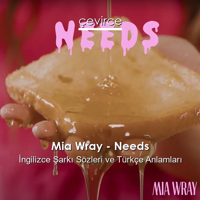 Mia Wray – Needs İngilizce Şarkı Sözleri Türkçe Anlamları