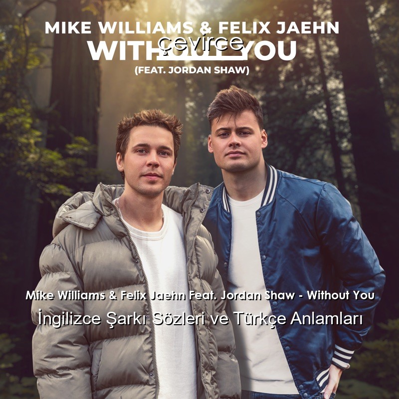 Mike Williams & Felix Jaehn Feat. Jordan Shaw – Without You İngilizce Şarkı Sözleri Türkçe Anlamları