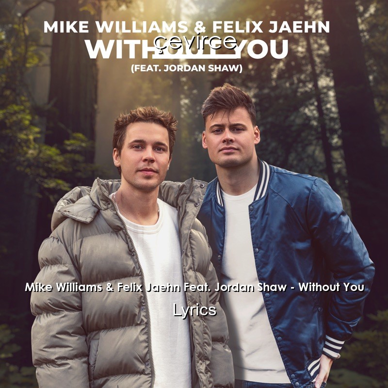 Mike Williams & Felix Jaehn Feat. Jordan Shaw – Without You Lyrics