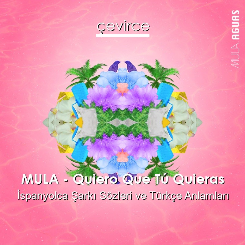 MULA – Quiero Que Tú Quieras İspanyolca Şarkı Sözleri Türkçe Anlamları