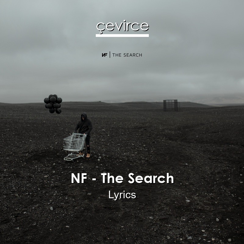 NF – The Search Lyrics