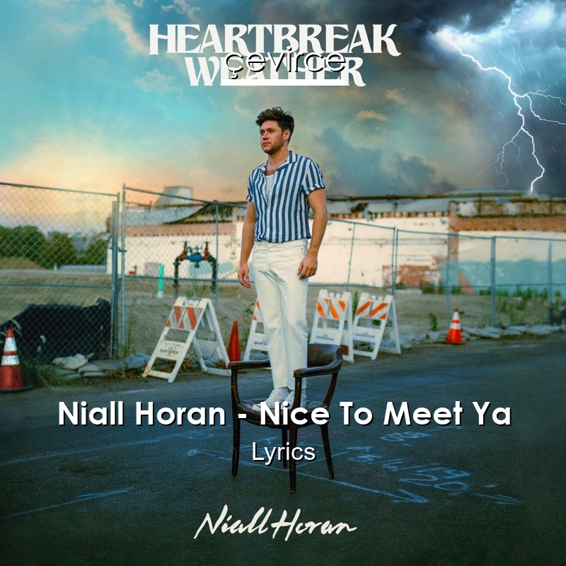 Niall Horan – Nice To Meet Ya Lyrics