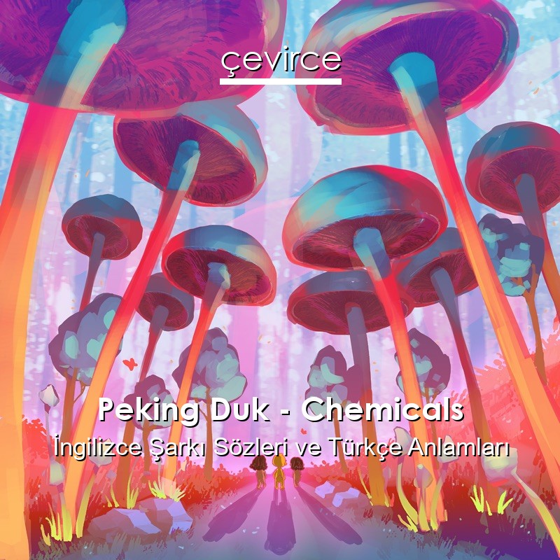 Peking Duk – Chemicals İngilizce Şarkı Sözleri Türkçe Anlamları