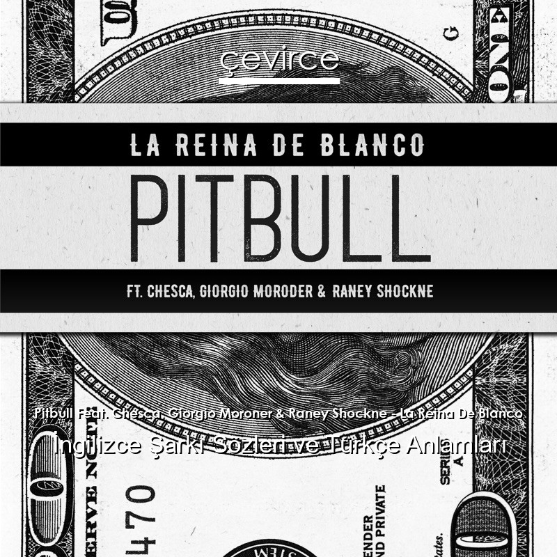 Pitbull Feat. Chesca, Giorgio Moroner & Raney Shockne – La Reina De Blanco İngilizce Şarkı Sözleri Türkçe Anlamları