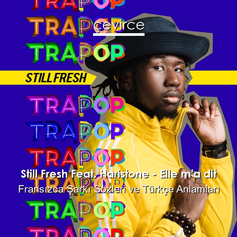 Still Fresh Feat. Haristone – Elle m’a dit Fransızca Şarkı Sözleri Türkçe Anlamları