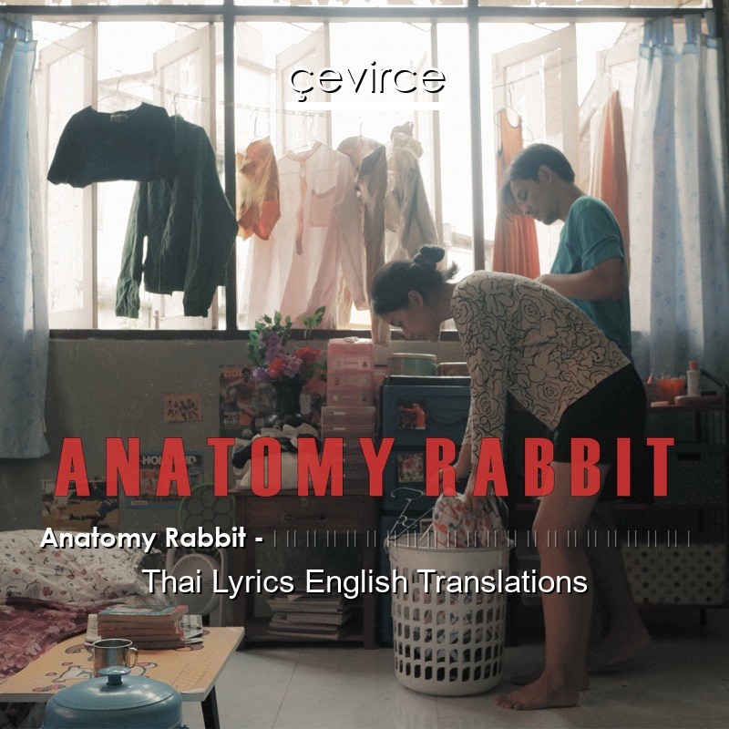 Anatomy Rabbit – ขอให้โลกนี้ใจดีกับเธอ Thai Lyrics English Translations