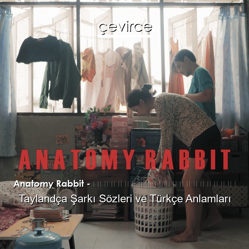 Anatomy Rabbit – ขอให้โลกนี้ใจดีกับเธอ Taylandça Şarkı Sözleri Türkçe Anlamları