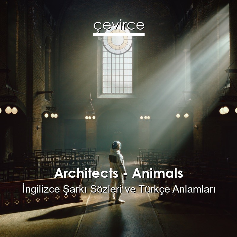 Architects – Animals İngilizce Şarkı Sözleri Türkçe Anlamları