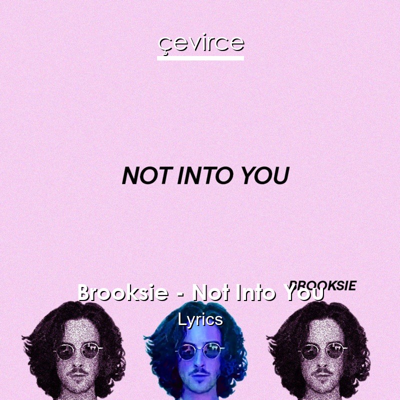 Brooksie – Not Into You Lyrics
