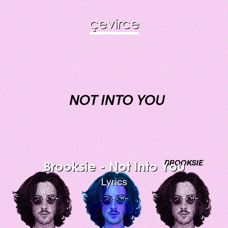 Brooksie – Not Into You Lyrics