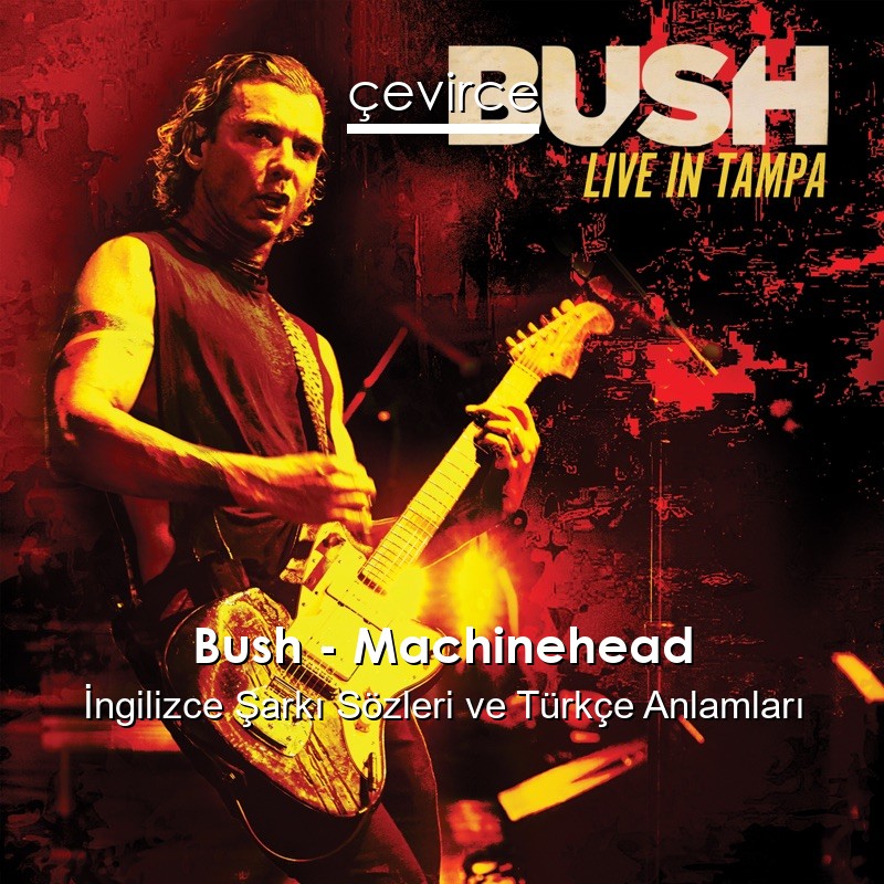 Bush – Machinehead İngilizce Şarkı Sözleri Türkçe Anlamları