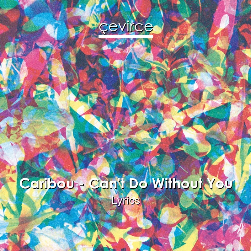 Caribou – Can’t Do Without You Lyrics