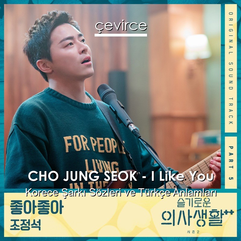 CHO JUNG SEOK – I Like You Korece Şarkı Sözleri Türkçe Anlamları