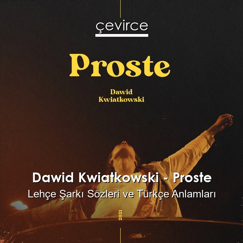 Dawid Kwiatkowski – Proste Lehçe Şarkı Sözleri Türkçe Anlamları