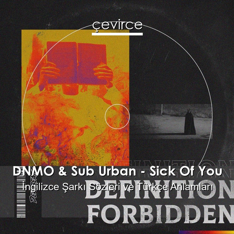 DNMO & Sub Urban – Sick Of You İngilizce Şarkı Sözleri Türkçe Anlamları