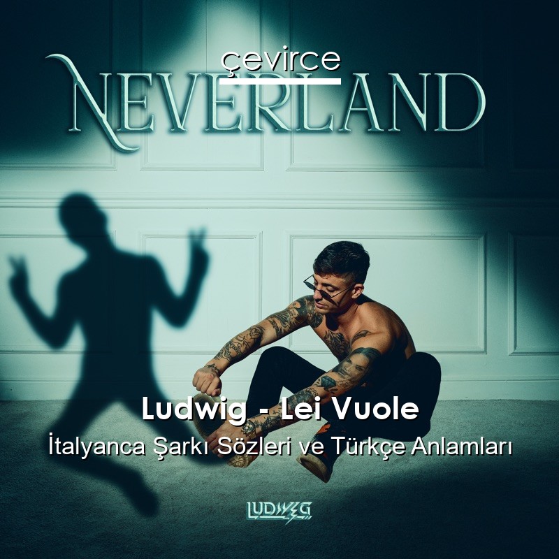 Ludwig – Lei Vuole İtalyanca Şarkı Sözleri Türkçe Anlamları