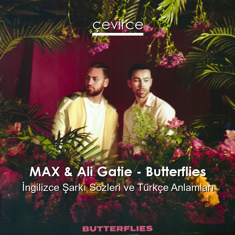 MAX & Ali Gatie – Butterflies İngilizce Şarkı Sözleri Türkçe Anlamları