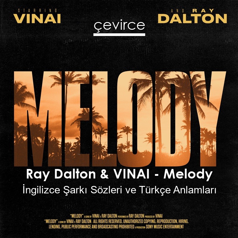 Ray Dalton & VINAI – Melody İngilizce Şarkı Sözleri Türkçe Anlamları