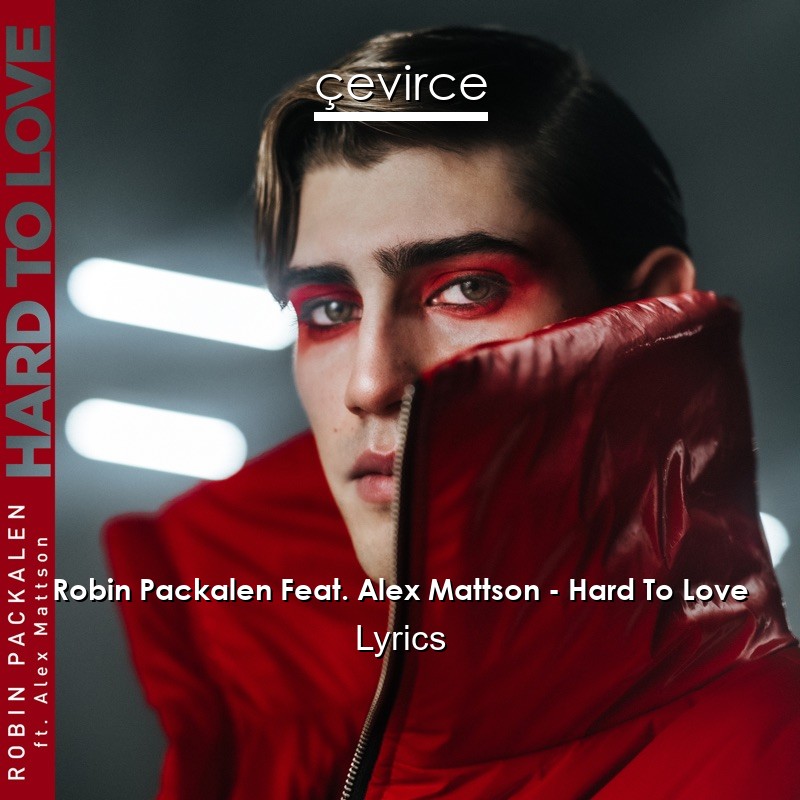 Robin Packalen Feat. Alex Mattson – Hard To Love Lyrics