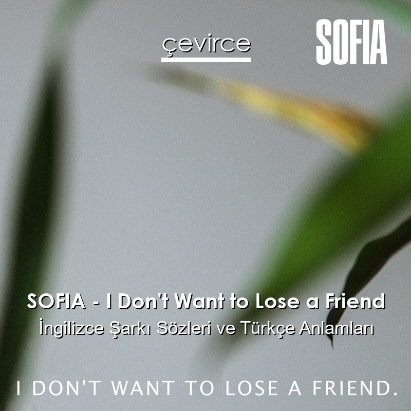 SOFIA – I Don’t Want to Lose a Friend İngilizce Şarkı Sözleri Türkçe Anlamları