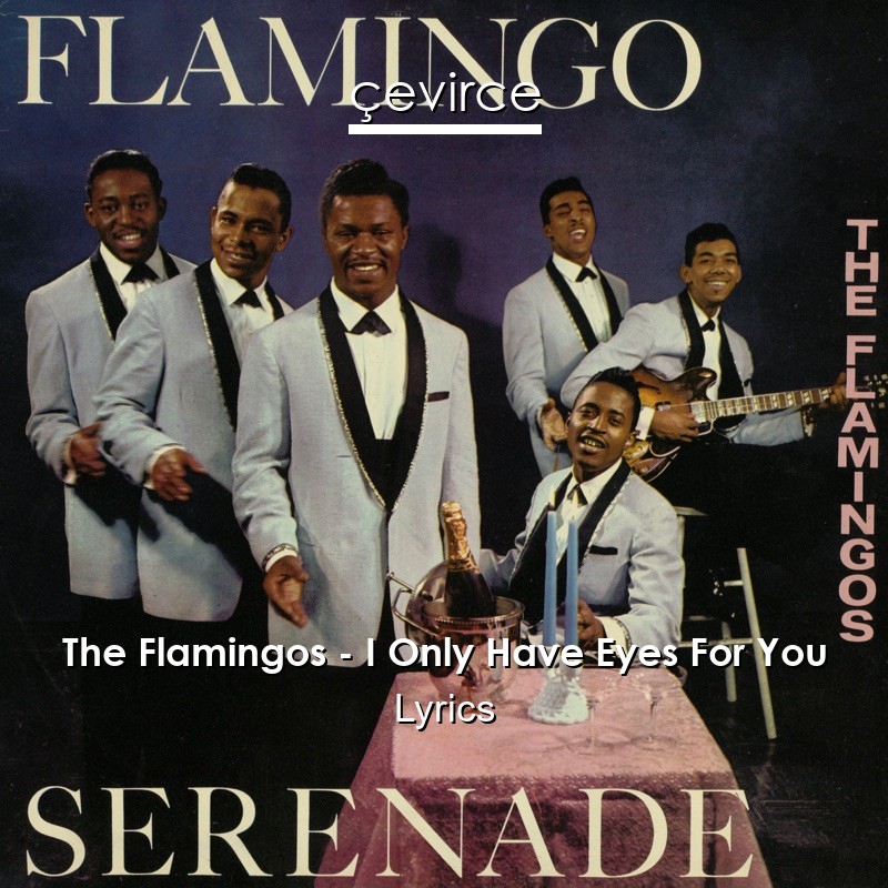 The Flamingos – I Only Have Eyes For You Lyrics