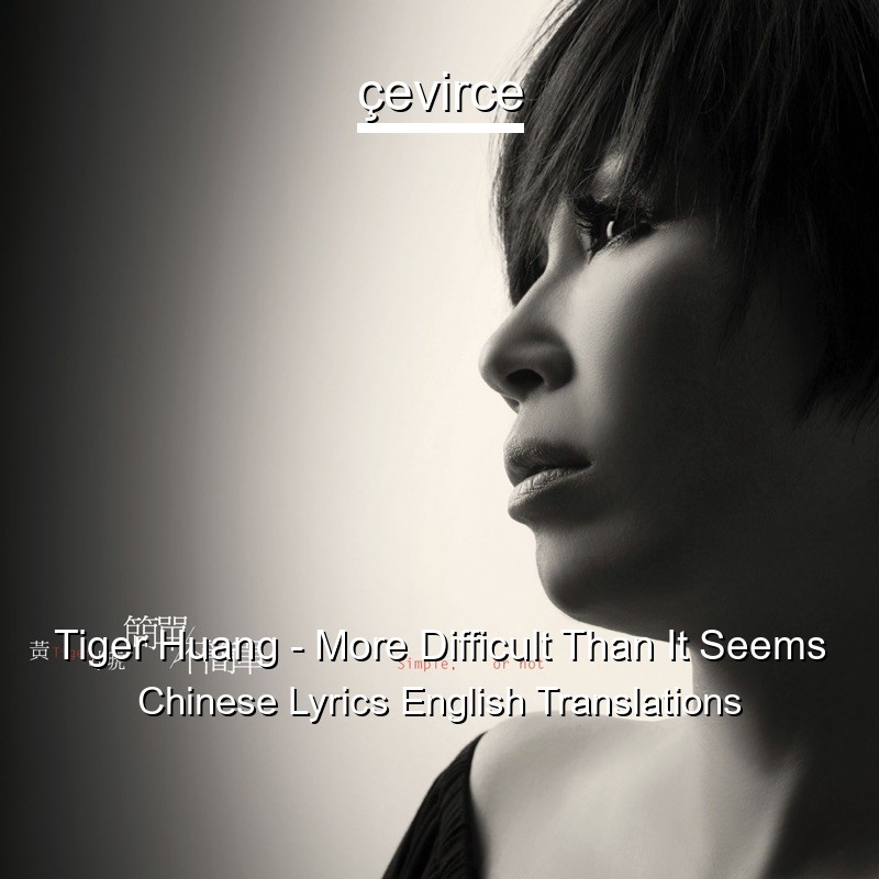 Tiger Huang – More Difficult Than It Seems Chinese Lyrics English Translations