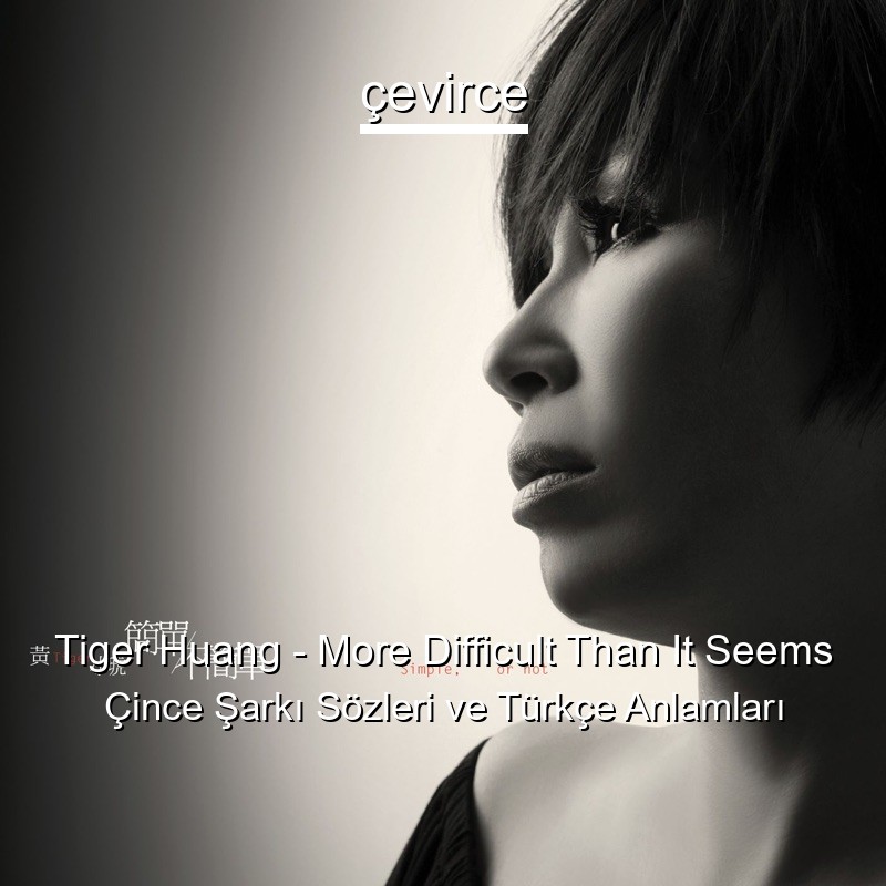 Tiger Huang – More Difficult Than It Seems Çince Şarkı Sözleri Türkçe Anlamları