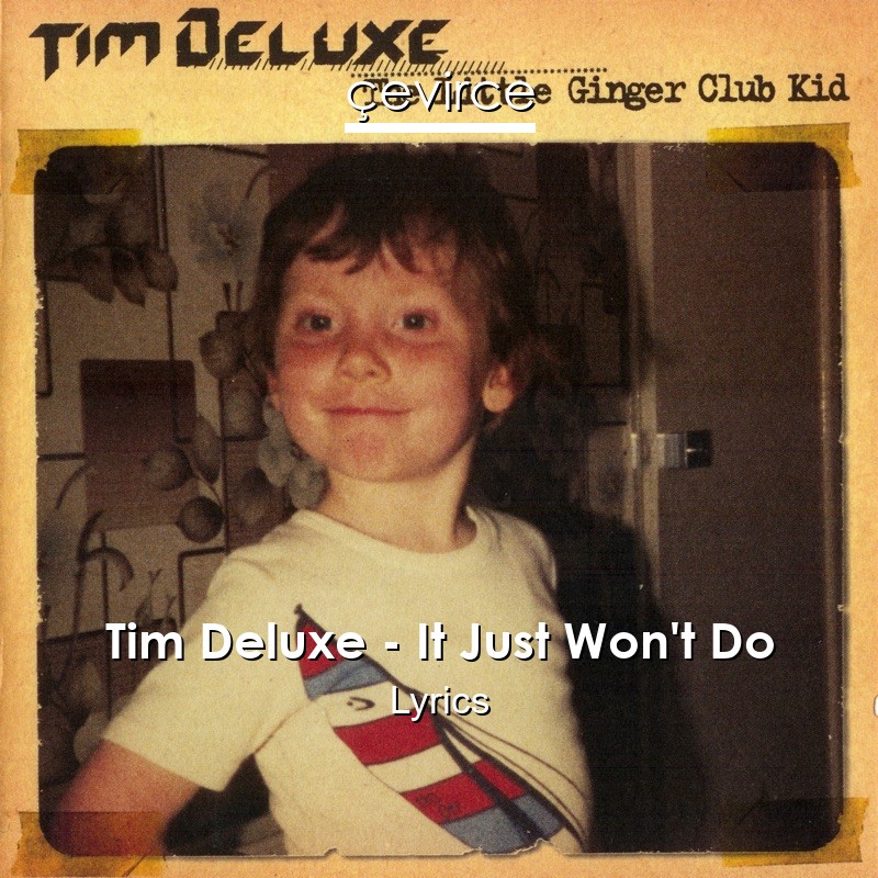 Tim Deluxe – It Just Won’t Do Lyrics
