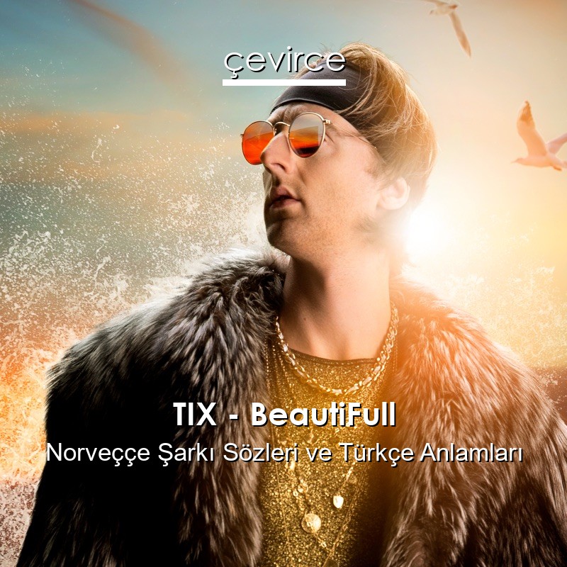 TIX – BeautiFull Norveççe Şarkı Sözleri Türkçe Anlamları