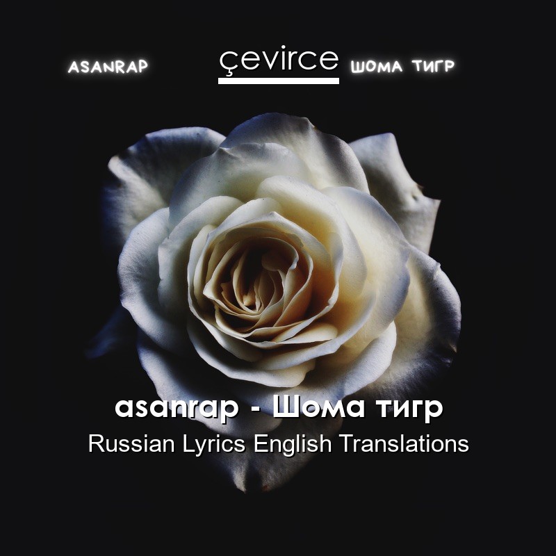 asanrap – Шома тигр Russian Lyrics English Translations