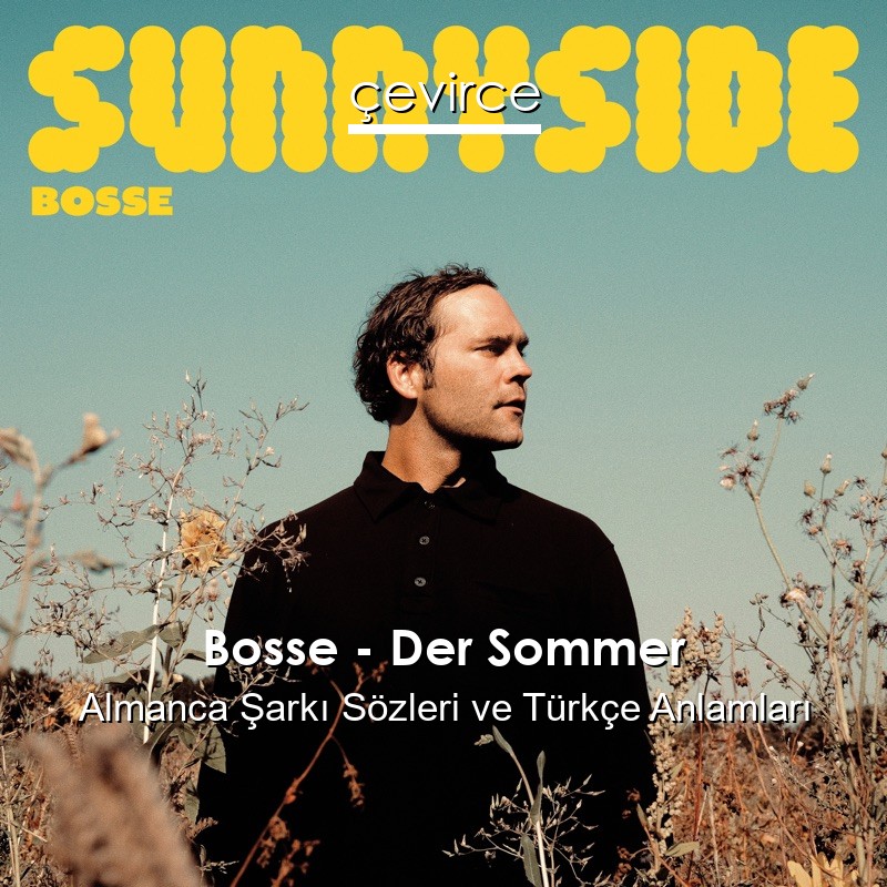 Bosse – Der Sommer Almanca Şarkı Sözleri Türkçe Anlamları