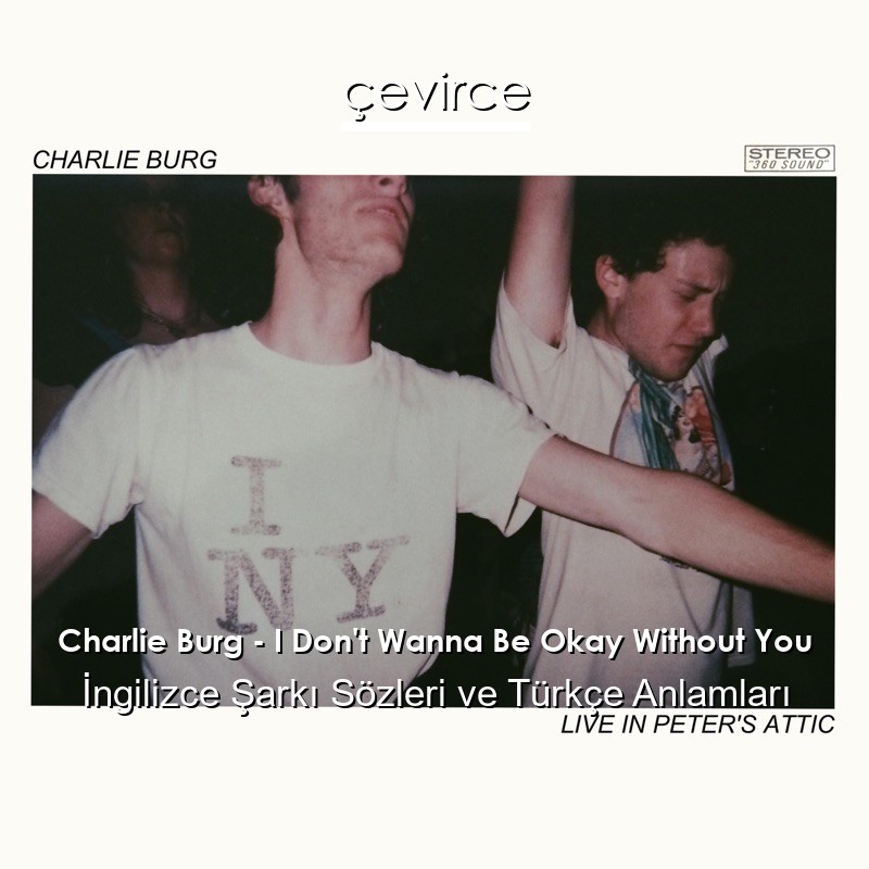 Charlie Burg – I Don’t Wanna Be Okay Without You İngilizce Şarkı Sözleri Türkçe Anlamları