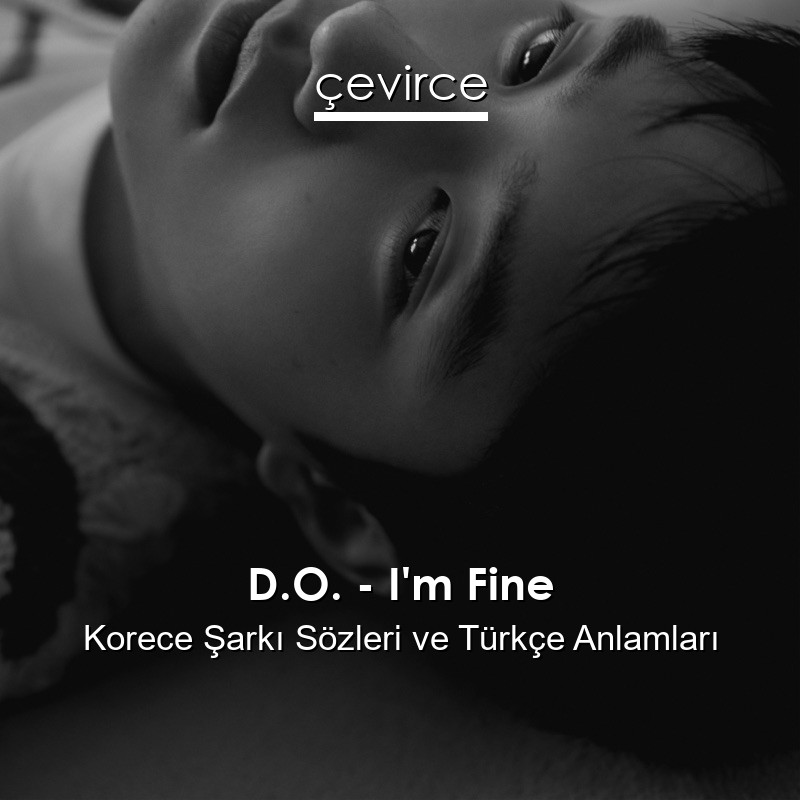 D.O. – I’m Fine Korece Şarkı Sözleri Türkçe Anlamları