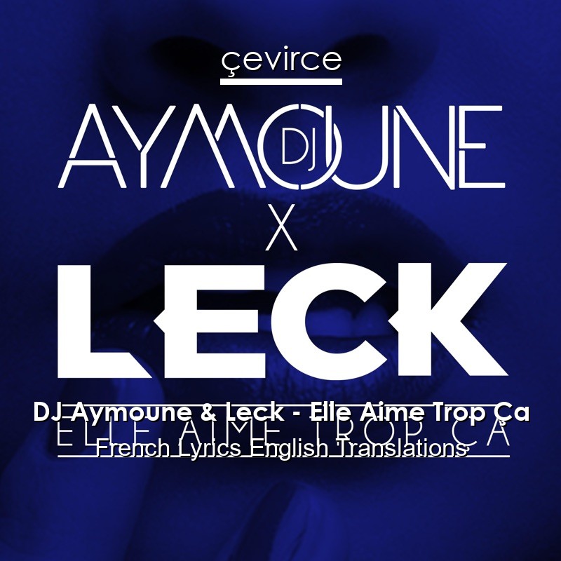 DJ Aymoune & Leck – Elle Aime Trop Ça French Lyrics English Translations