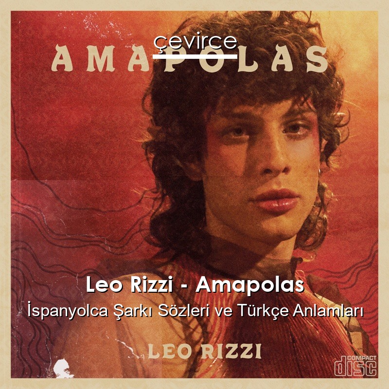 Leo Rizzi – Amapolas İspanyolca Şarkı Sözleri Türkçe Anlamları