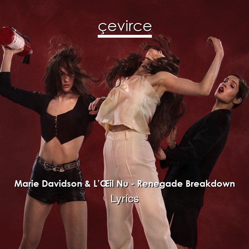 Marie Davidson & L’Œil Nu – Renegade Breakdown Lyrics