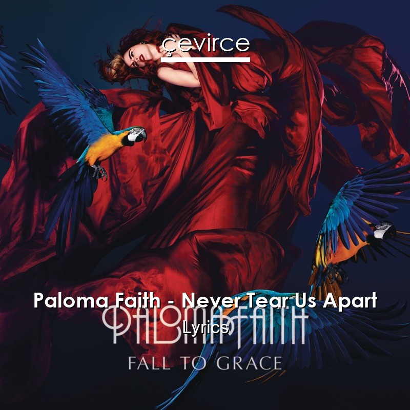 Paloma Faith – Never Tear Us Apart Lyrics