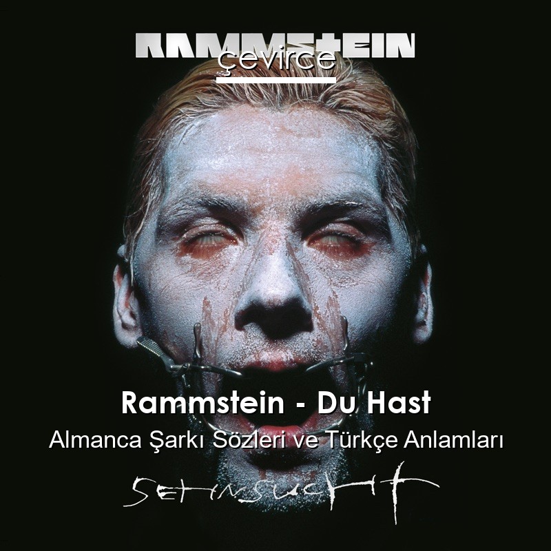 Rammstein – Du Hast Almanca Şarkı Sözleri Türkçe Anlamları