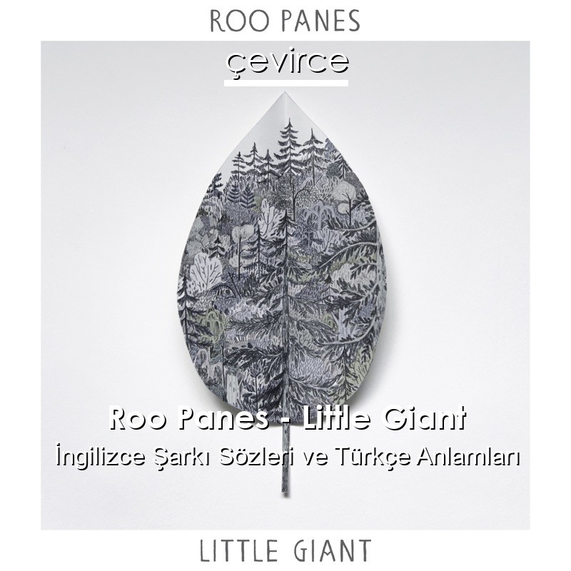 Roo Panes – Little Giant İngilizce Şarkı Sözleri Türkçe Anlamları