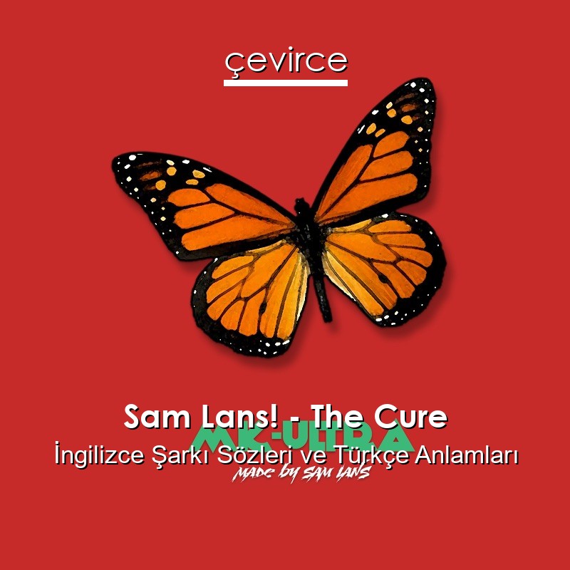 Sam Lans! – The Cure İngilizce Şarkı Sözleri Türkçe Anlamları