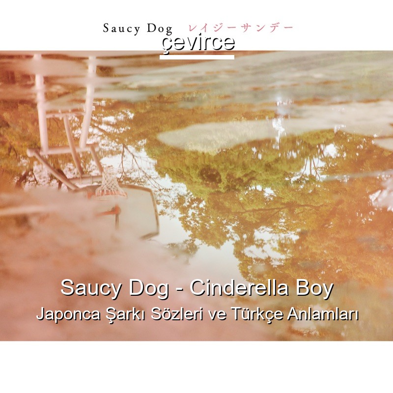 Saucy Dog – Cinderella Boy Japonca Şarkı Sözleri Türkçe Anlamları