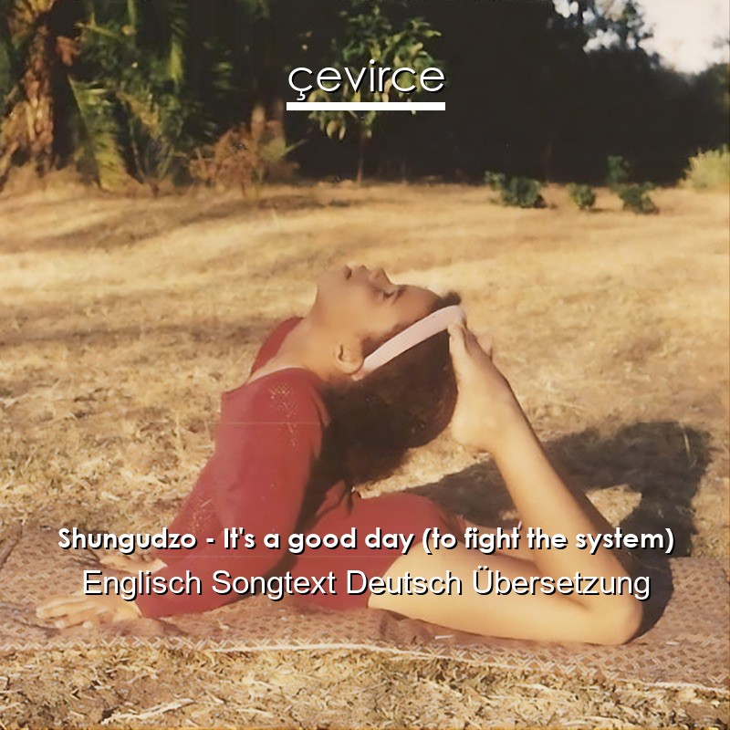 Shungudzo – It’s a good day (to fight the system) Englisch Songtext Deutsch Übersetzung
