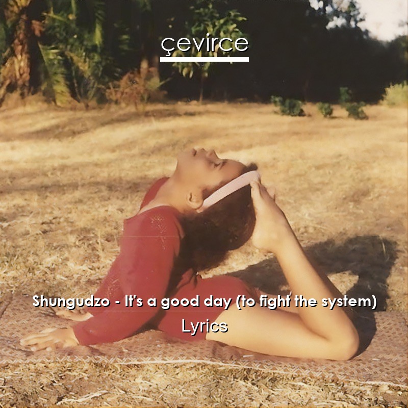 Shungudzo – It’s a good day (to fight the system) Lyrics